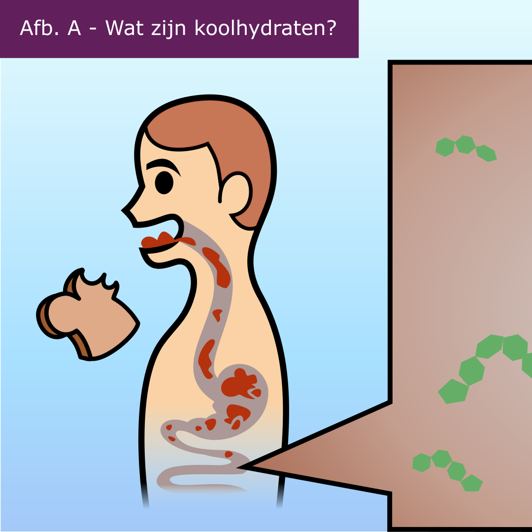 GSD-9 (Fosforylase-b-kinase deficiëntie) infographic afbeelding 0